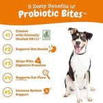 315g Probiotic Chewable Tablets Dog Food Cat Food Intestinal Health