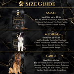 Calm Command: Hands Free No-Pull Leash