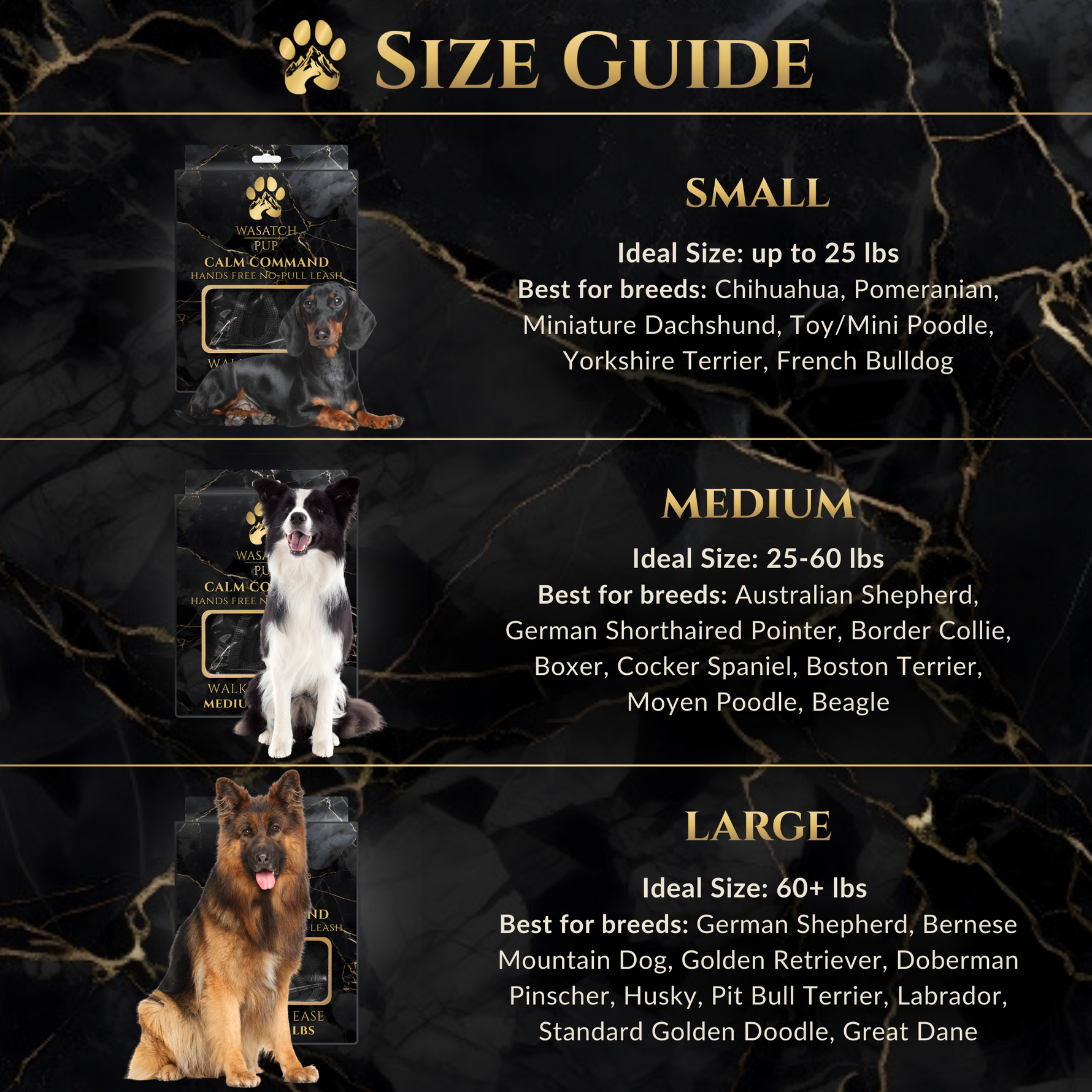 Calm Command: Hands Free No-Pull Leash