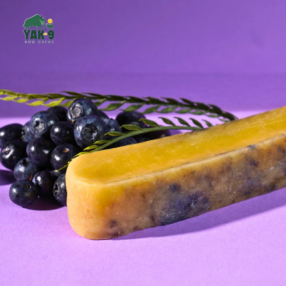 Blueberry Cheese Chews for Dogs