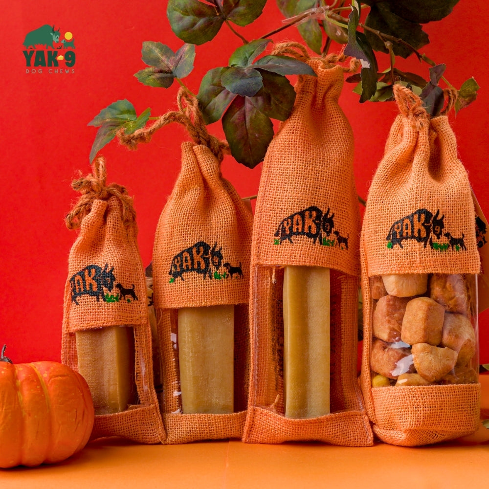 Pumpkin Cheese Chews for Dogs