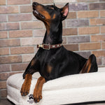 Luxury Orthopedic Dog Bed