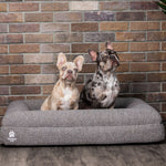 Luxury Orthopedic Dog Bed