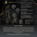 Calm Command: Hands Free No-Pull Leash