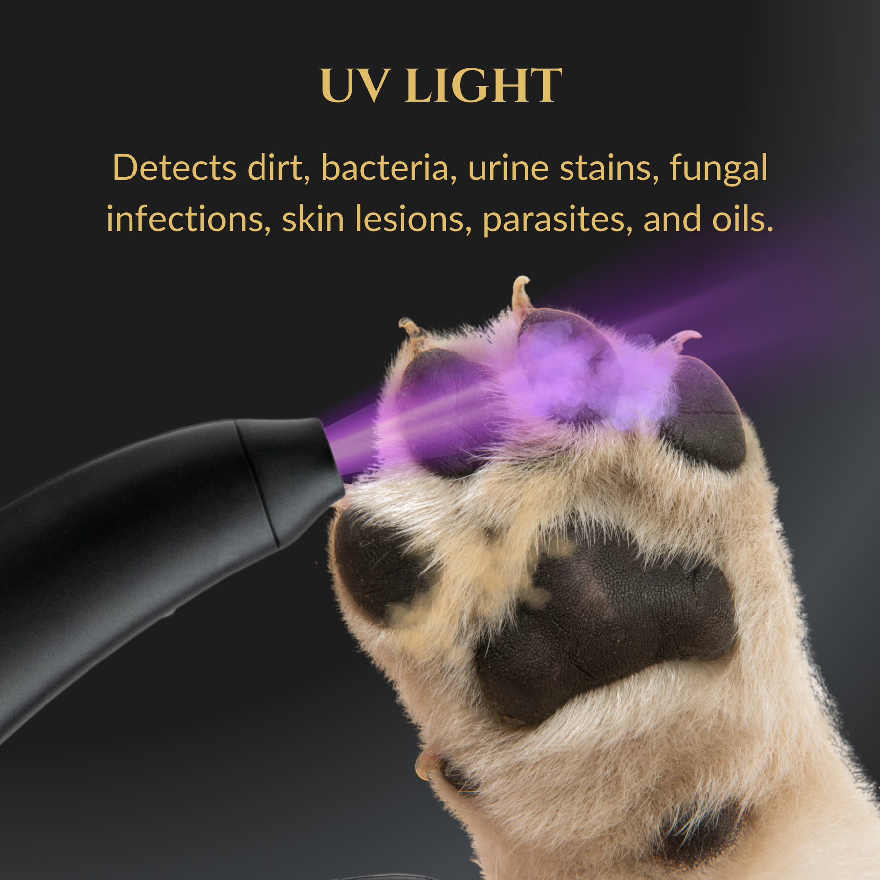 3 in 1 Nail Clippers