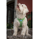 Plush Step In Air Mesh Harness - Grass Green