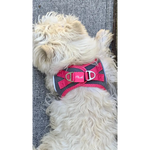 Plush Step In Air Mesh Harness - Shark Grey/Pink