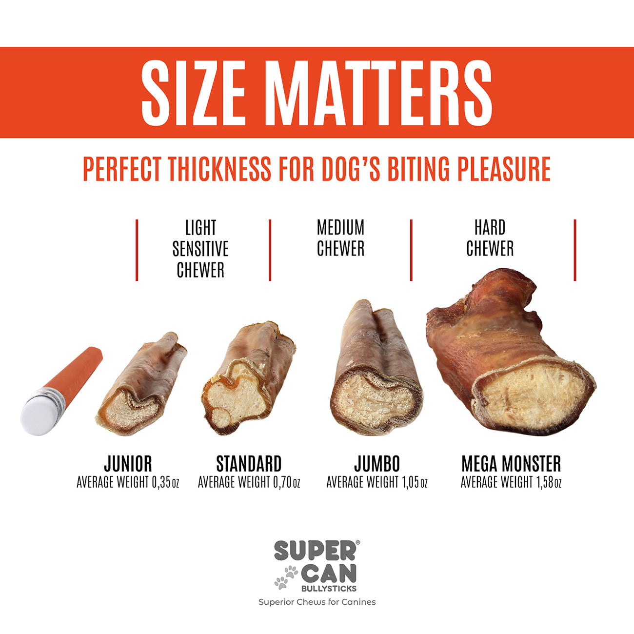 6" Jumbo Bully Sticks - High-Protein Dog Chews